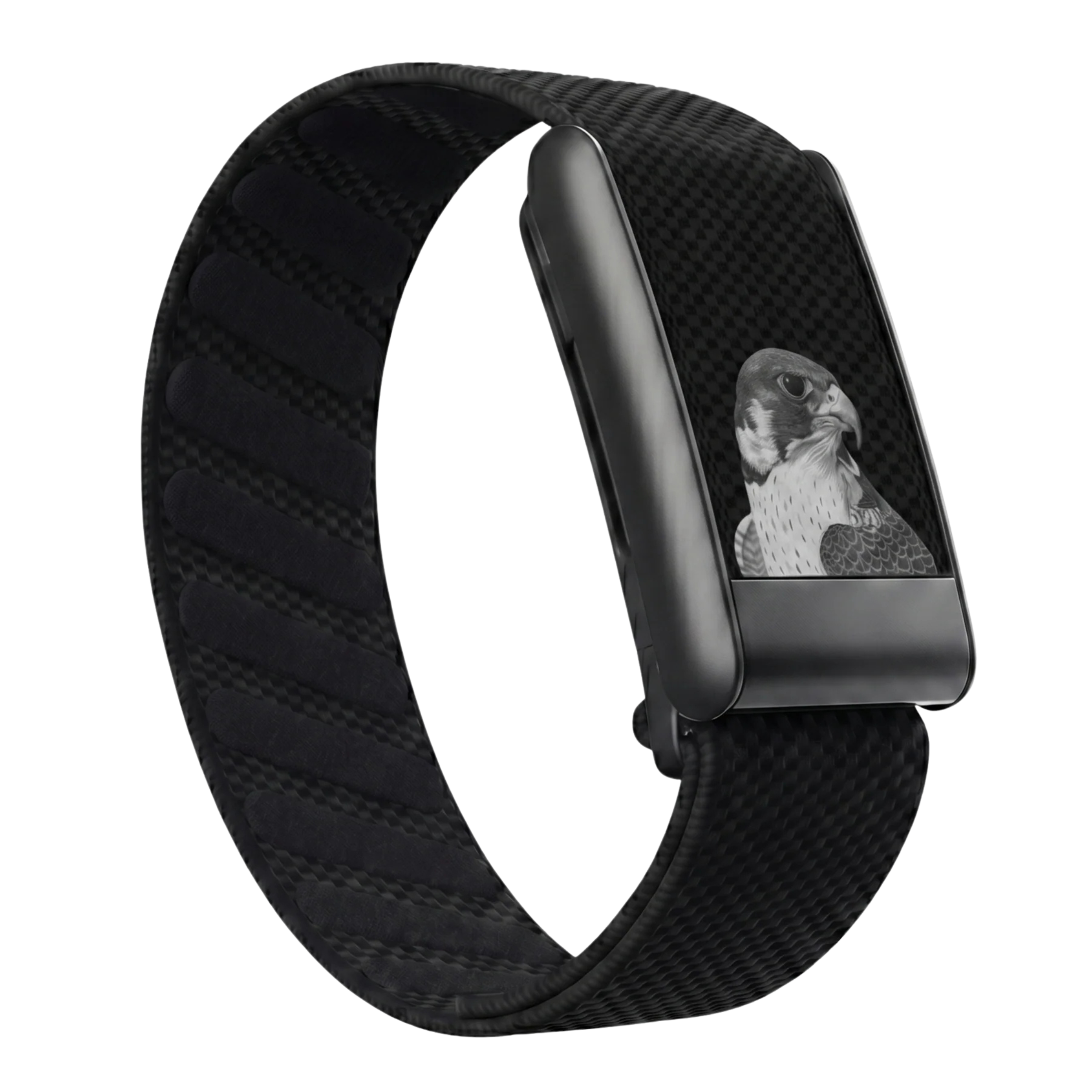 Falcon Black